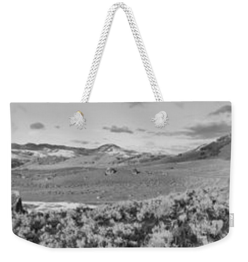 Yellowstone Weekender Tote Bag featuring the photograph Scenic Views On The Road To Tower Black And White by Adam Jewell