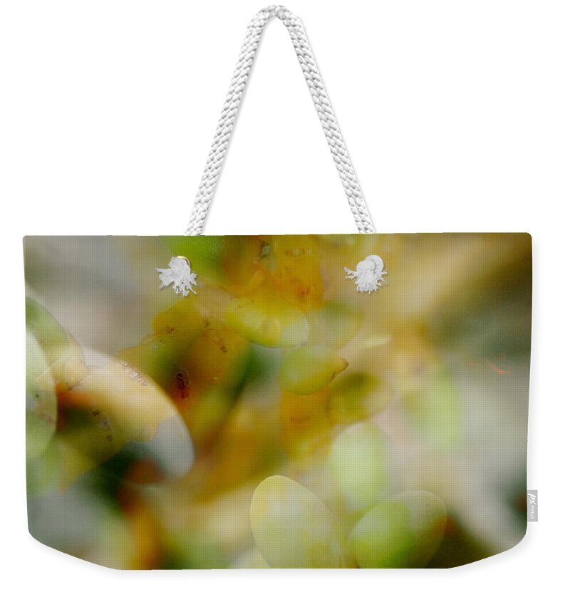Palm Pods Weekender Tote Bag featuring the photograph School of Curiosity 04 by Vicki Ferrari