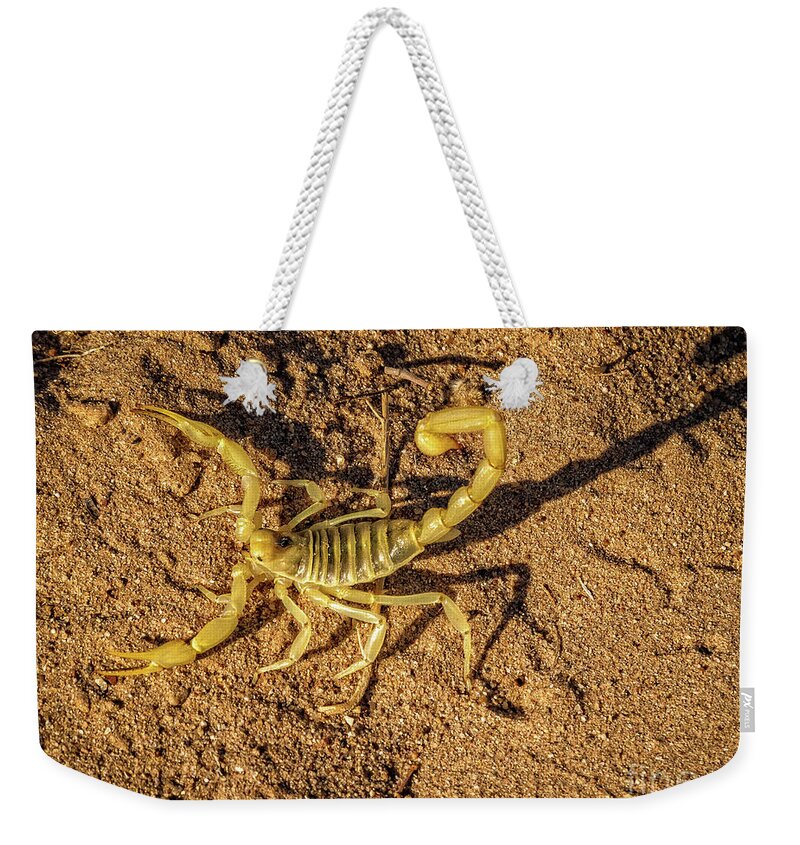 Poisonous Weekender Tote Bag featuring the photograph Scorpion by Robert Bales