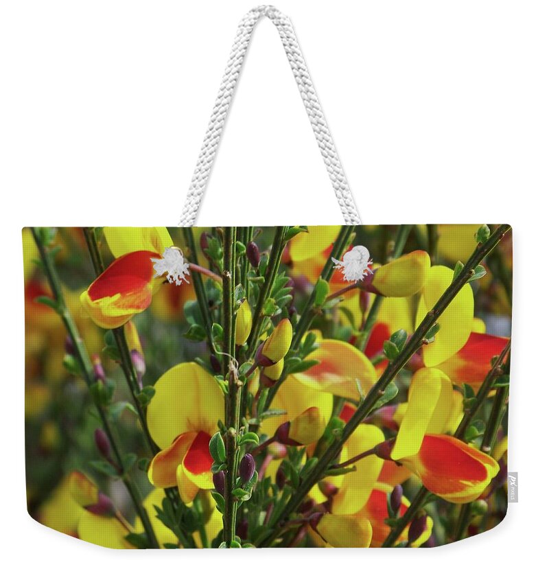 Flowers Weekender Tote Bag featuring the photograph Scotch Broom by Julie Rauscher