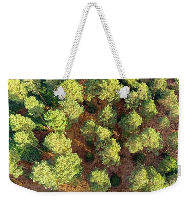 Scots Pines Weekender Tote Bag featuring the photograph Scots Pines by Andy Myatt
