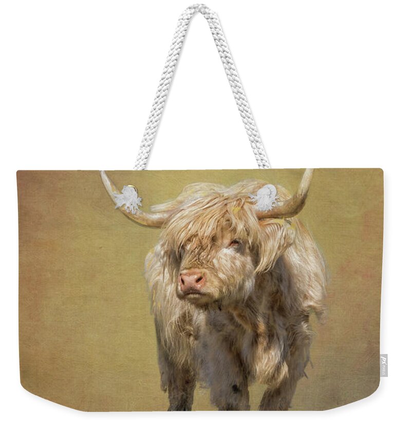 Harrisville New Hampshire. New England Mill Town Weekender Tote Bag featuring the photograph Scottish Highlander by Tom Singleton