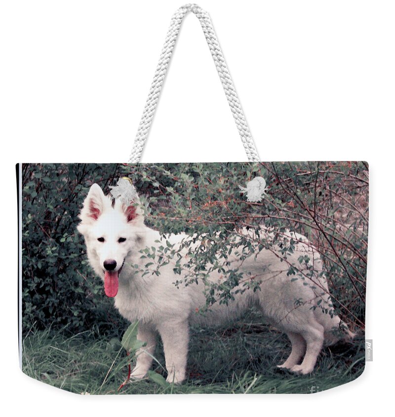  Weekender Tote Bag featuring the photograph Scout by Margaret Hood