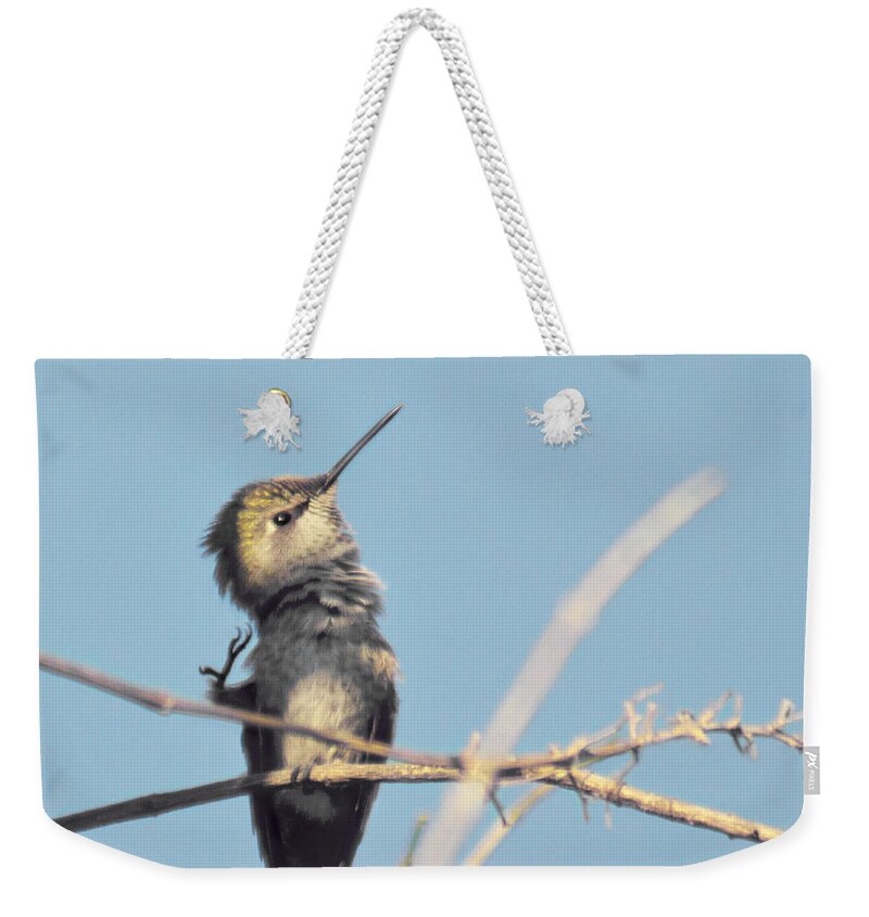 Hummingbird Weekender Tote Bag featuring the photograph Scratching that itch by Cindy Garber Iverson