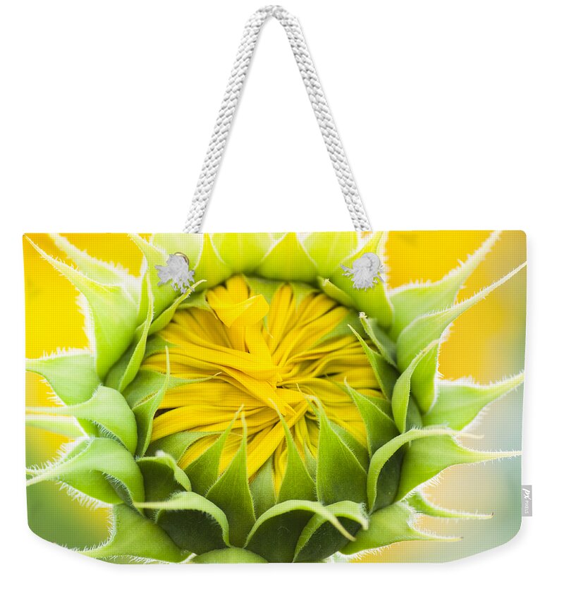 Christi Kraft Weekender Tote Bag featuring the photograph Scrunched by Christi Kraft