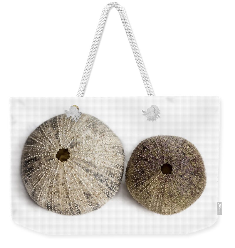 Sea Urchin Skeletons Weekender Tote Bag featuring the photograph Sea Urchin Shells by Belinda Greb