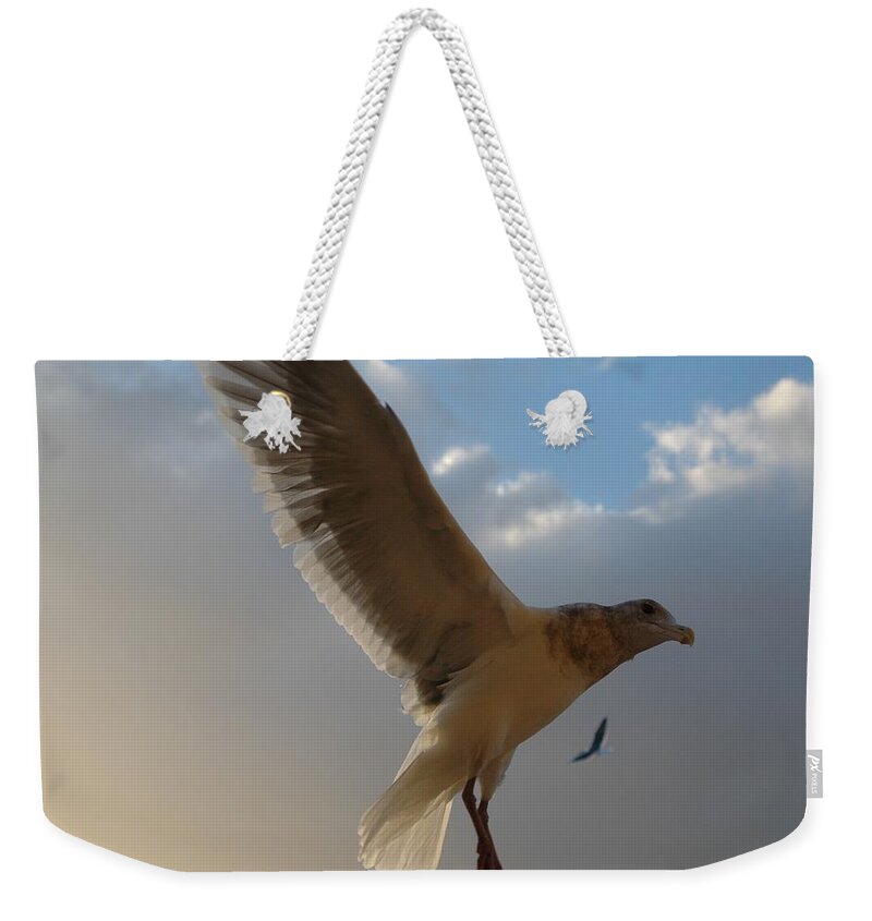 Sea Weekender Tote Bag featuring the photograph Sea Birds 5 by Sara Stevenson