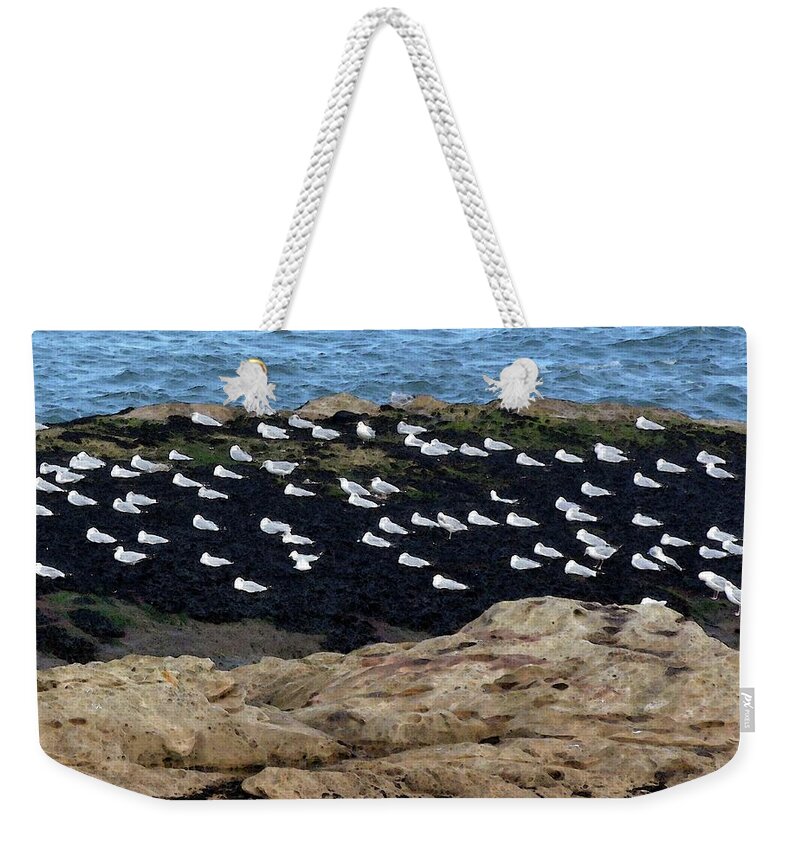 Scenic Weekender Tote Bag featuring the photograph Sea Birds at Rest by Coke Mattingly