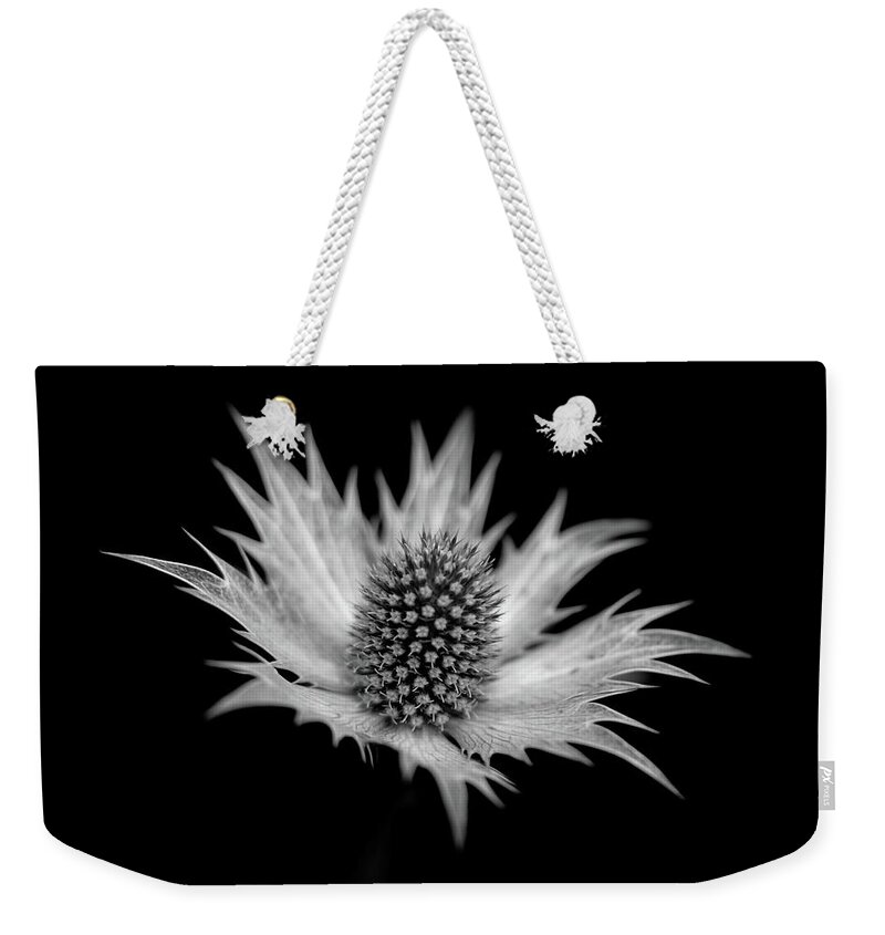 Sea Holly Erngynium Weekender Tote Bag featuring the photograph Sea Holly by Ian Sanders