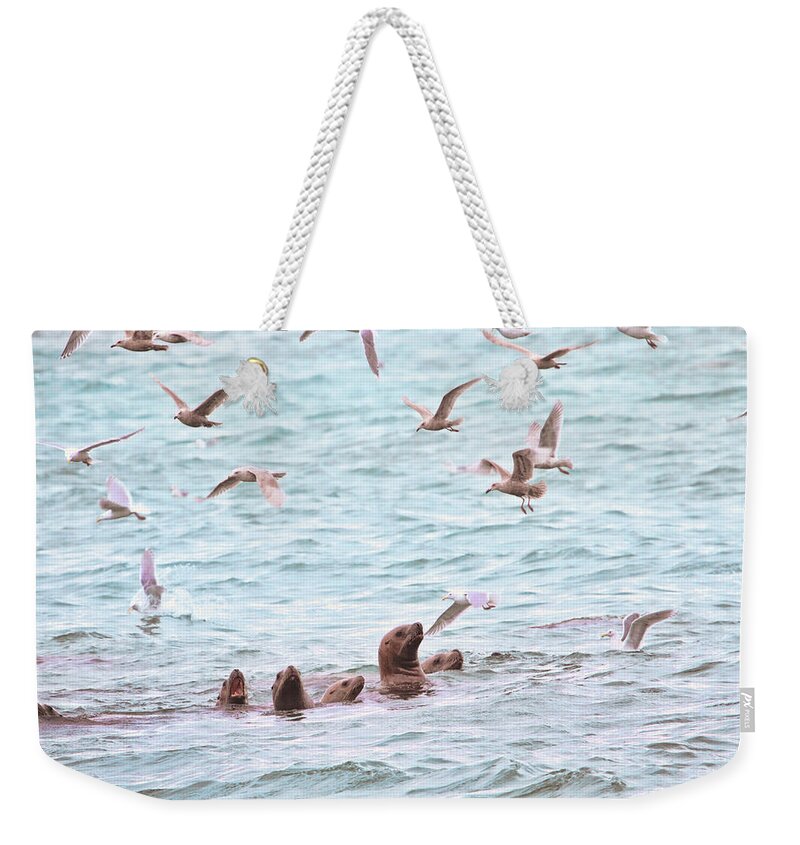 Sea Lions Weekender Tote Bag featuring the photograph Sea Lions and Gulls - Herring Spawn by Peggy Collins