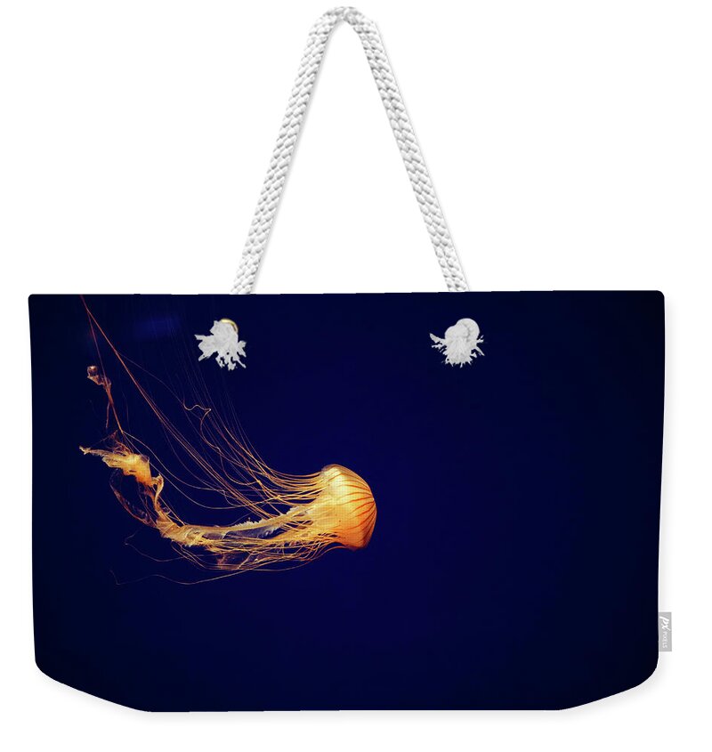 Sea Nettle Jellyfish Weekender Tote Bag featuring the photograph Sea Nettle Dance by Diane Macdonald