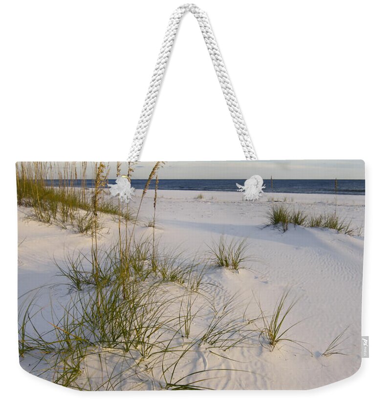 Fl Weekender Tote Bag featuring the photograph Sea Oats and Blue Sky by Bill Chambers