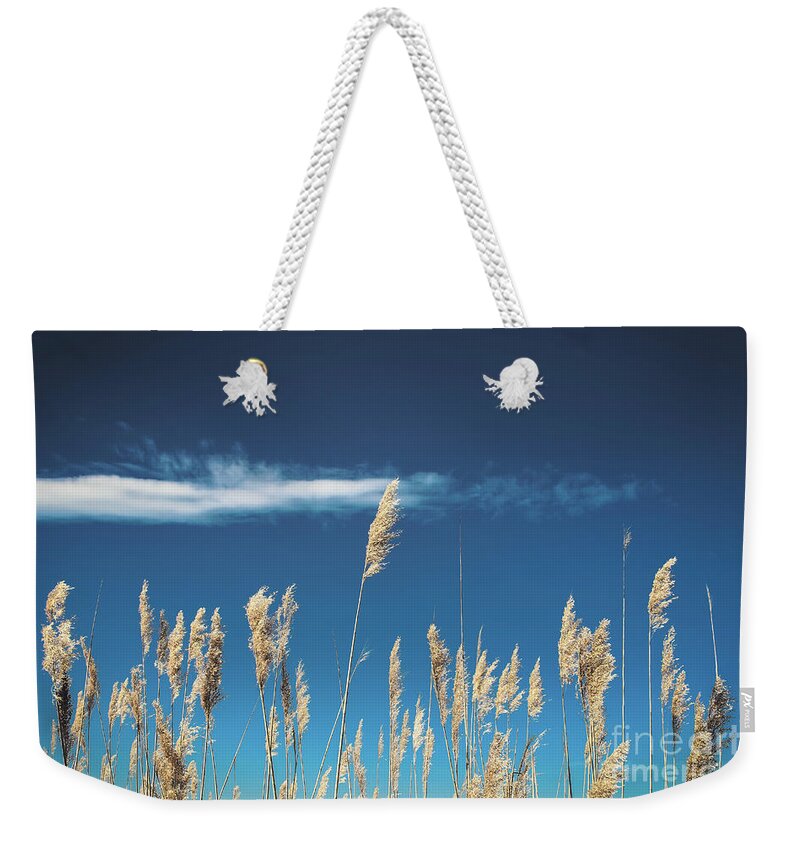 Sea Oats Weekender Tote Bag featuring the photograph Sea Oats On a Blue Day by Colleen Kammerer