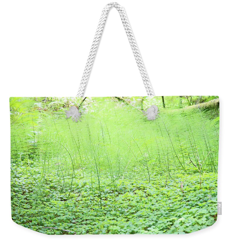 Clovers Weekender Tote Bag featuring the photograph Sea of Green by Shoal Hollingsworth