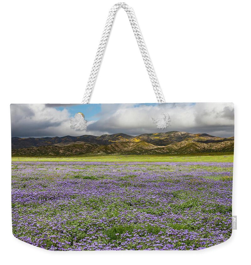 Carrizo Weekender Tote Bag featuring the photograph Sea of Purple by Rick Pisio