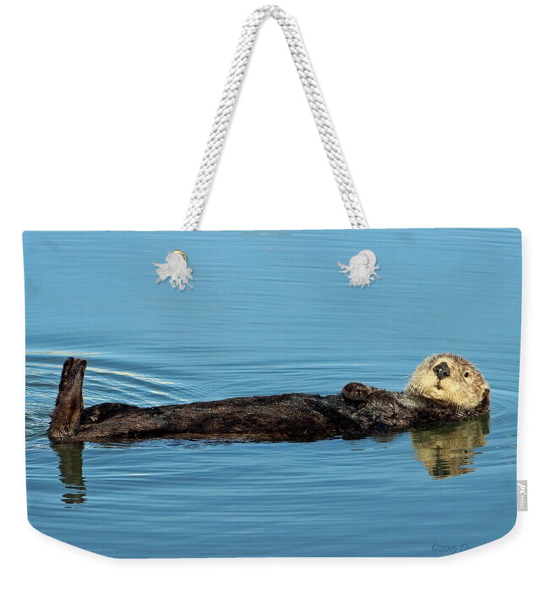 Sea Weekender Tote Bag featuring the photograph Sea Otter by Deana Glenz