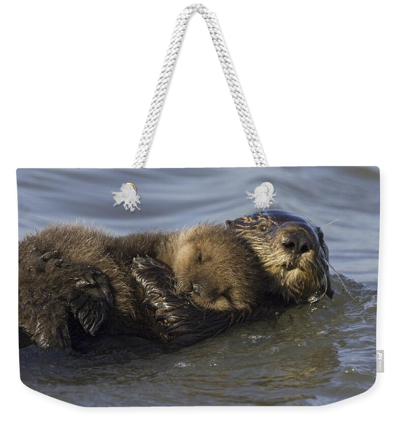 00438549 Weekender Tote Bag featuring the photograph Sea Otter Mother With Pup Monterey Bay by Suzi Eszterhas