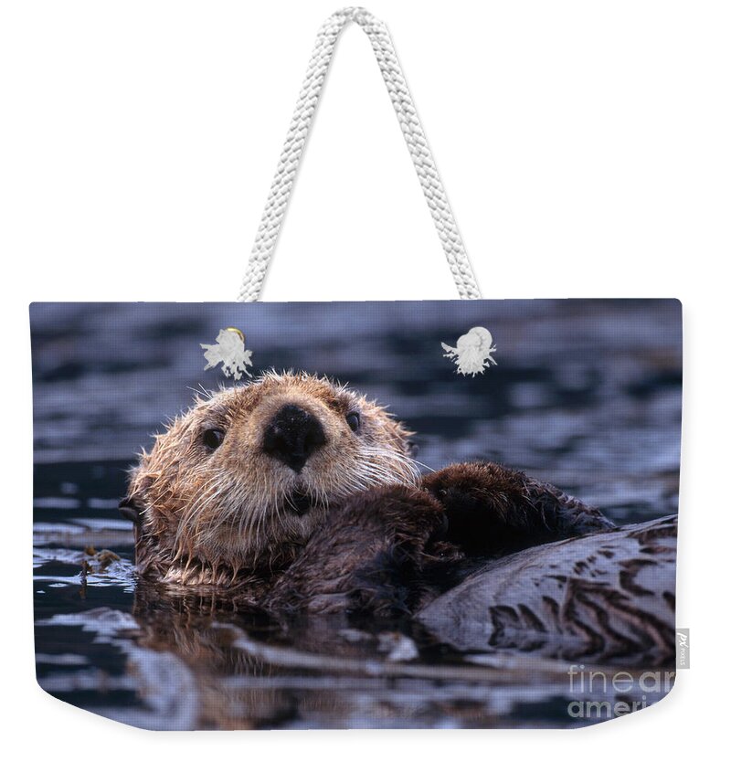 Sea Otter Weekender Tote Bag featuring the photograph Sea Otter by Yva Momatiuk and John Eastcott and Photo Researchers