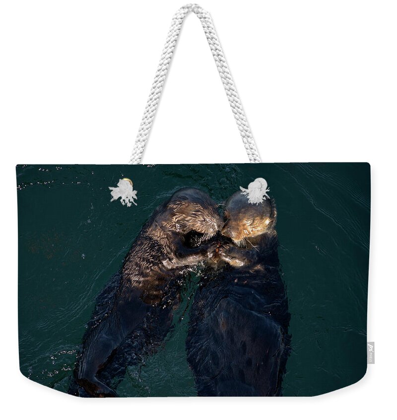 Sea Otter Weekender Tote Bag featuring the photograph Sea Otters II Color by David Gordon
