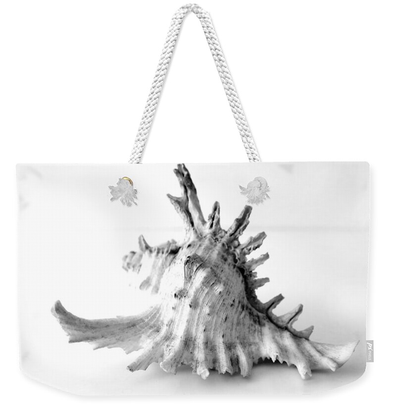 Sea Weekender Tote Bag featuring the photograph Sea shell by Gina Dsgn