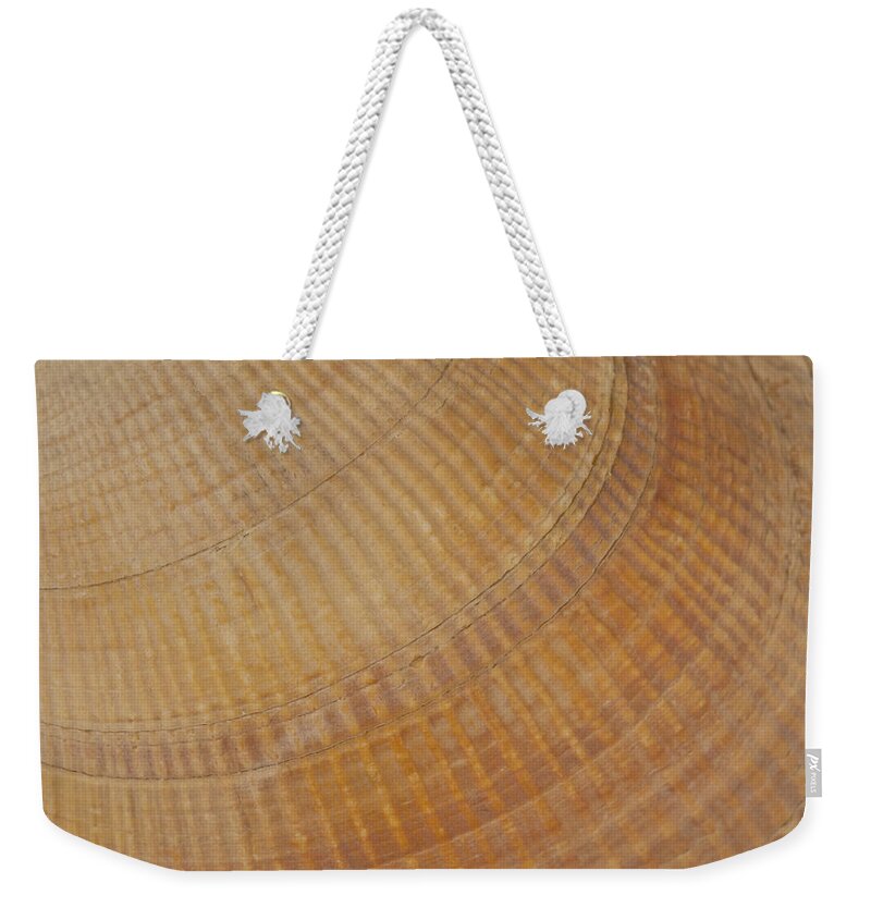 Scallop Sea Shell Weekender Tote Bag featuring the photograph Sea Shell Macro by Sandra Foster