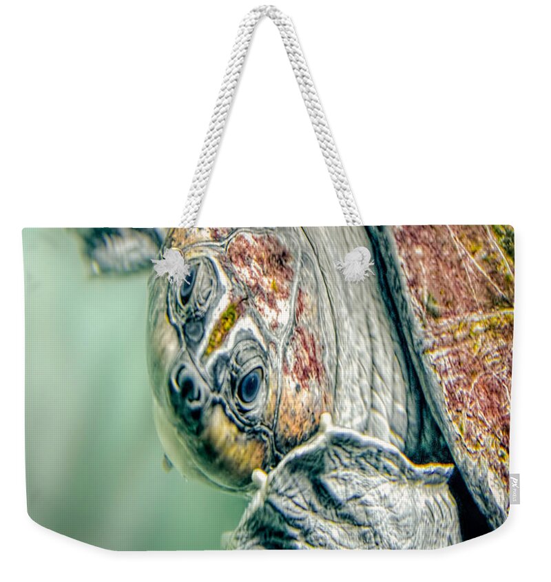 Nature Wear Weekender Tote Bag featuring the photograph Sea Turtle Nature Girl by LeeAnn McLaneGoetz McLaneGoetzStudioLLCcom