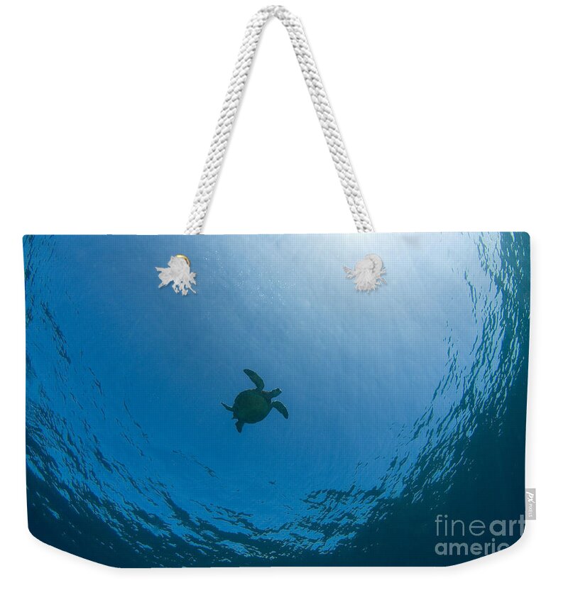 Animal Art Weekender Tote Bag featuring the photograph Sea Turtle Silhouette by Dave Fleetham - Printscapes