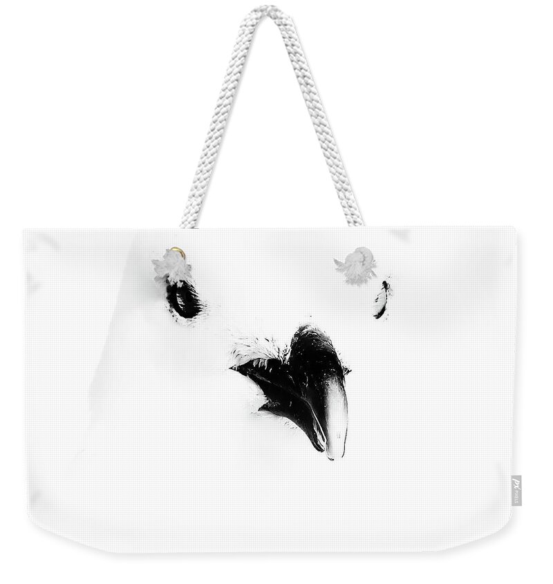 Black And White Weekender Tote Bag featuring the photograph Seagull Art by Darius Aniunas