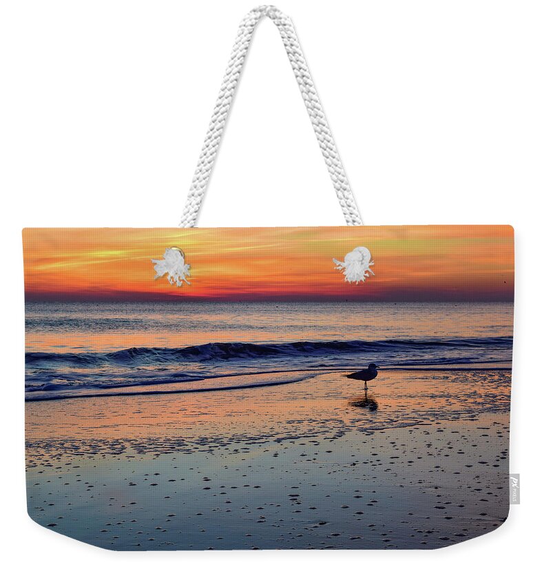 Beach Weekender Tote Bag featuring the photograph Seagull at Sunrise by Nicole Lloyd