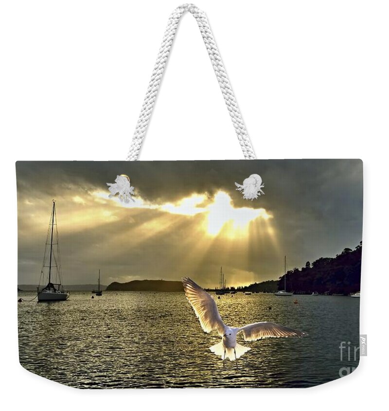 Seagul Weekender Tote Bag featuring the photograph Seagull at Sunrise with Crepuscula Rays. by Geoff Childs