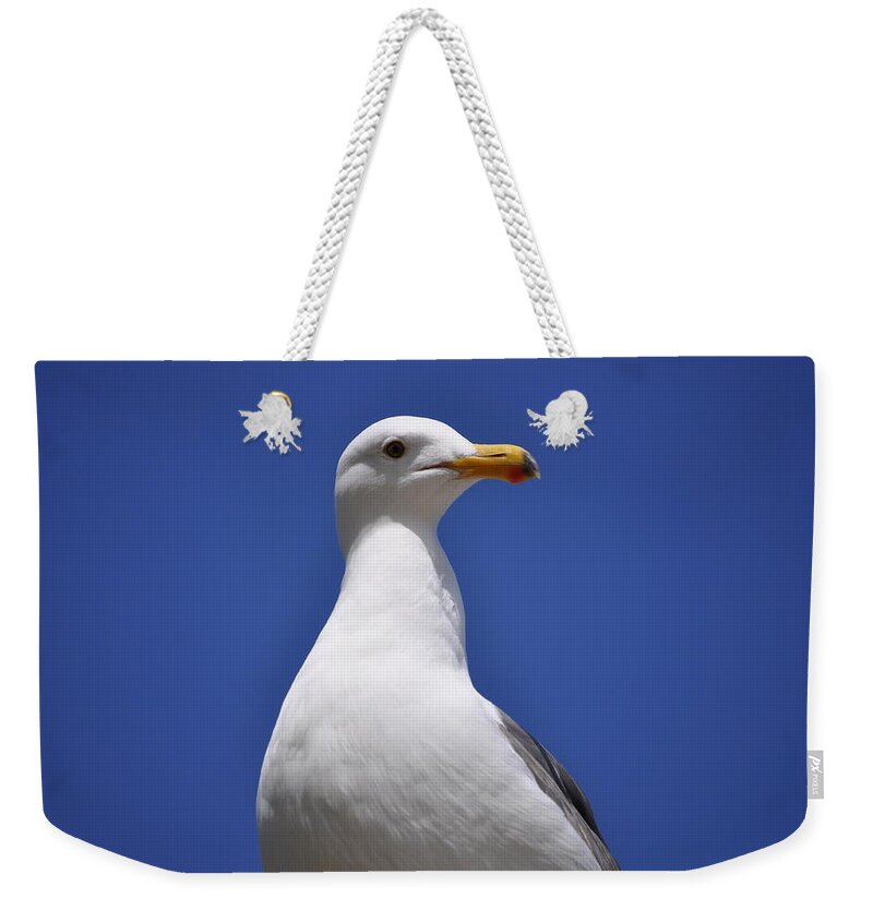 Mission Bay Weekender Tote Bag featuring the photograph Seagull by Bridgette Gomes