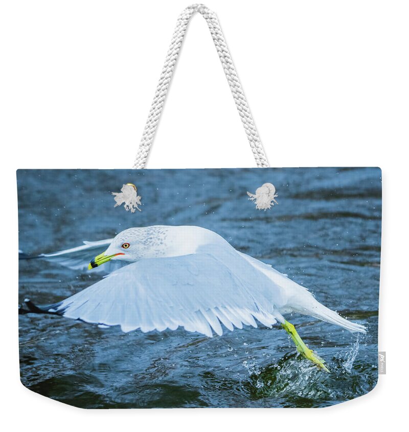 20170128 Weekender Tote Bag featuring the photograph Seagull Departure by Jeff at JSJ Photography