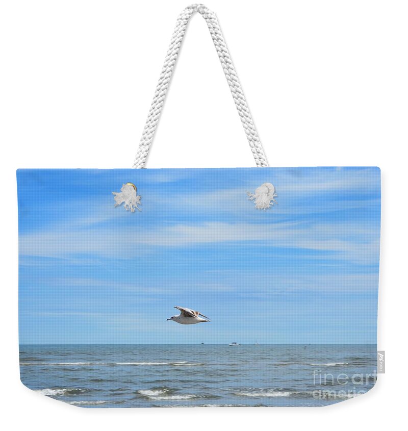 Seagull Weekender Tote Bag featuring the photograph Seagull in Flight by Dani McEvoy
