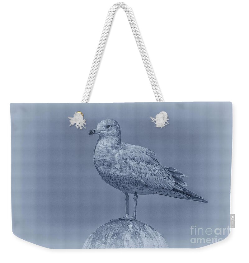 Seagull On Post In Blue Weekender Tote Bag featuring the digital art Seagull on Post in Blue by Randy Steele