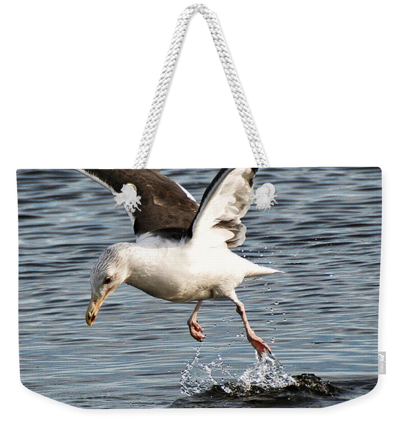 Wildlife Weekender Tote Bag featuring the photograph Seagull Water Dance by William Selander