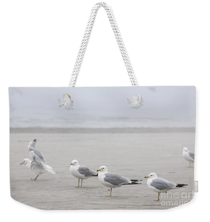 Seagulls Weekender Tote Bag featuring the photograph Seagulls on foggy beach by Elena Elisseeva