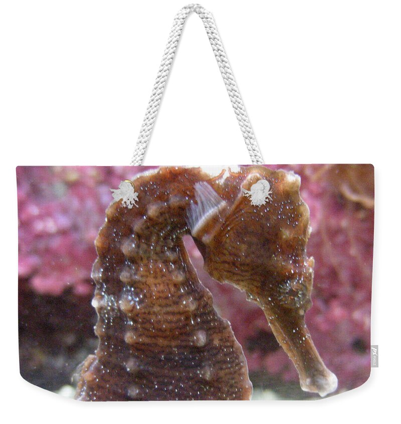 Faunagraphs Weekender Tote Bag featuring the photograph Seahorse2 by Torie Tiffany