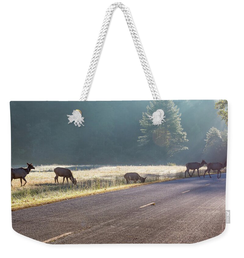 Elk Weekender Tote Bag featuring the photograph Searching For Greener Grass by D K Wall