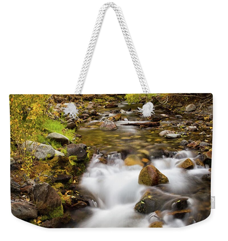 California Weekender Tote Bag featuring the photograph Seasonal Moments by Nicki Frates