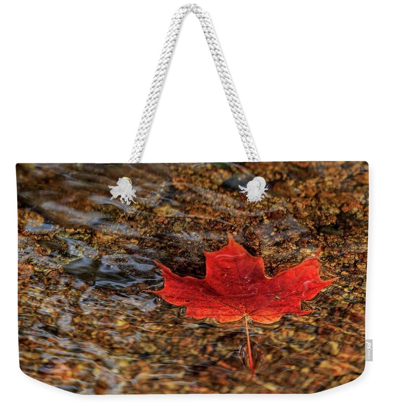 Fall Weekender Tote Bag featuring the photograph Seasons by Rob Davies