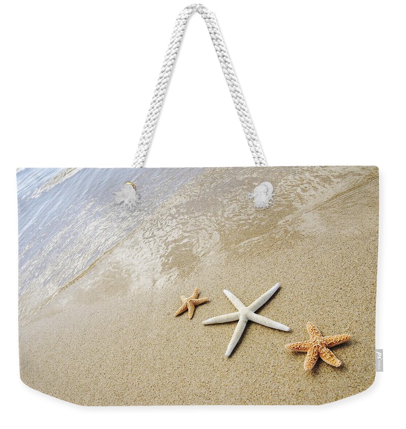 Afternoon Weekender Tote Bag featuring the photograph Seastars on Beach by Mary Van de Ven - Printscapes
