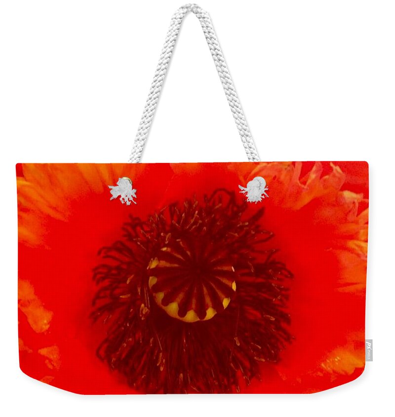 Flower Weekender Tote Bag featuring the photograph Seattle by Denise Railey