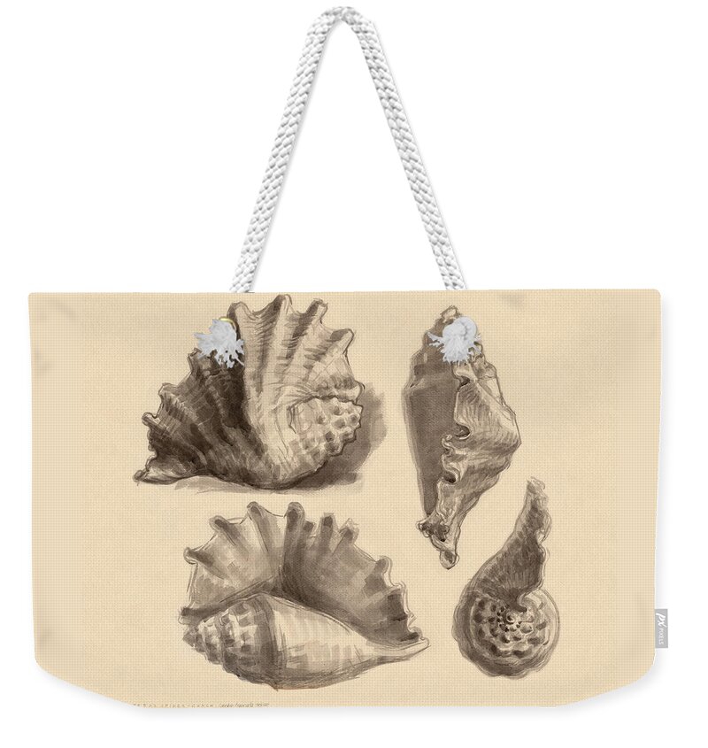 Seashell Weekender Tote Bag featuring the painting Seba's Spider Conch by Judith Kunzle