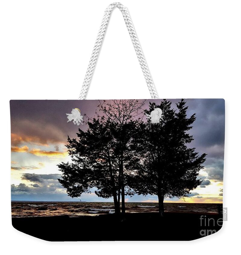Moods Weekender Tote Bag featuring the photograph Second Visit by Dani McEvoy