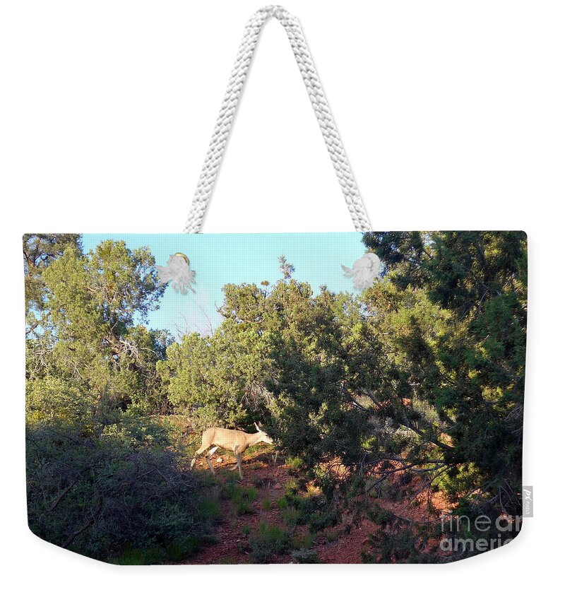 Sedona Weekender Tote Bag featuring the photograph Sedona Doe by Mars Besso