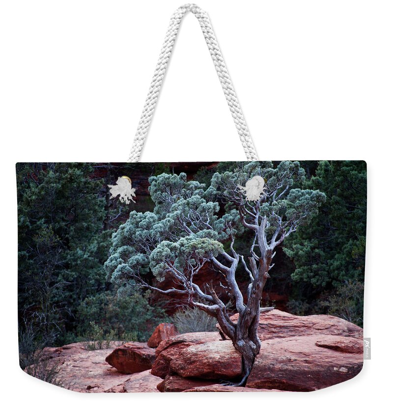 Tree Weekender Tote Bag featuring the photograph Sedona Tree #3 by David Chasey