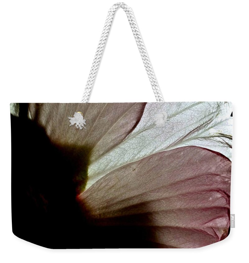 Sunlight Weekender Tote Bag featuring the photograph I Could be Butterfly Wings Hibiscus by Kathy Barney