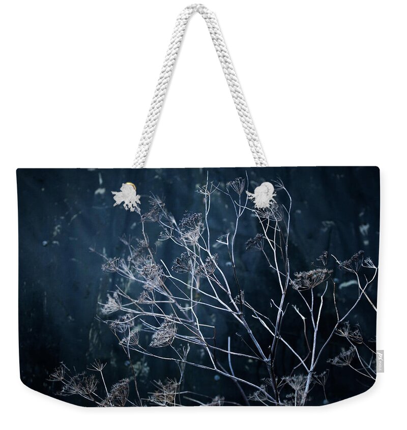  Weekender Tote Bag featuring the photograph Seedheads and Tarpaulin by Anita Nicholson