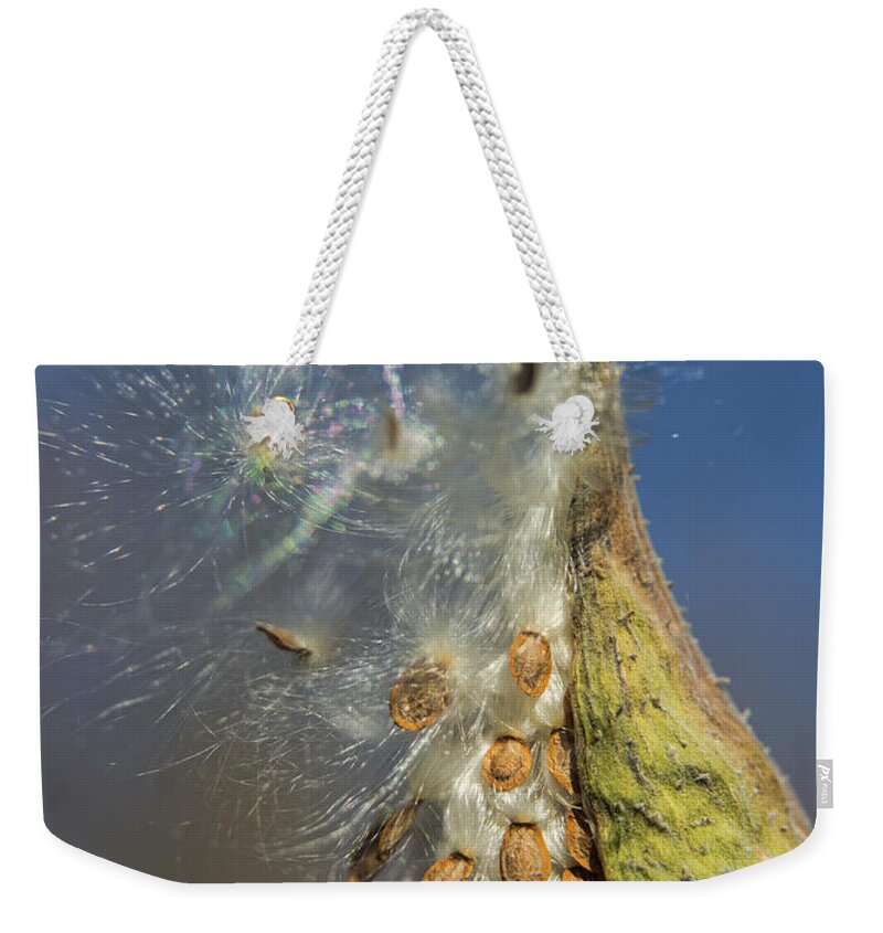 Seeds Weekender Tote Bag featuring the photograph Seeds by Alana Ranney