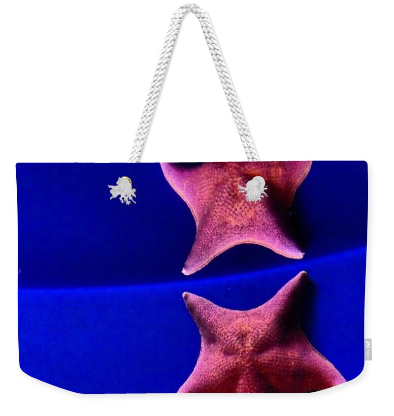 Star Fish Weekender Tote Bag featuring the photograph Seeing Double by Denise Railey